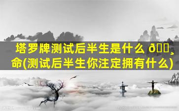 塔罗牌测试后半生是什么 🕸 命(测试后半生你注定拥有什么)